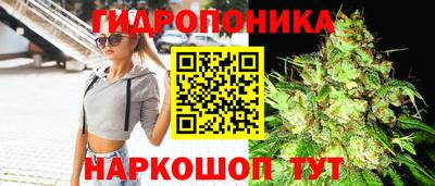 прущие крисы Славянск-на-Кубани