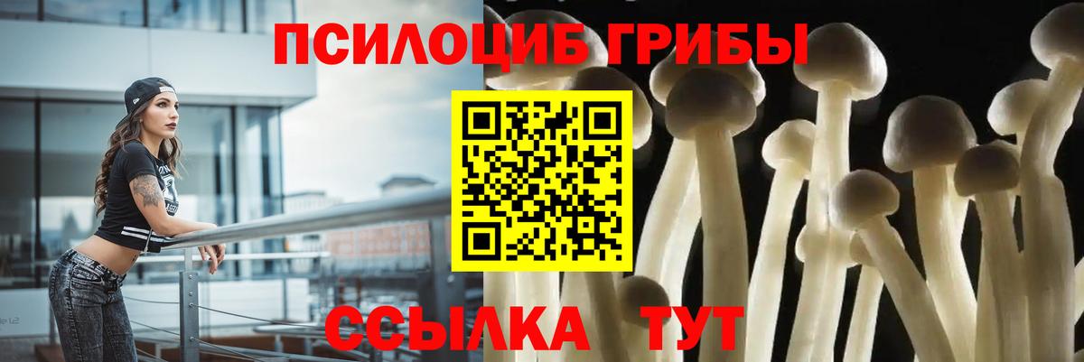  COCAIN Элиста